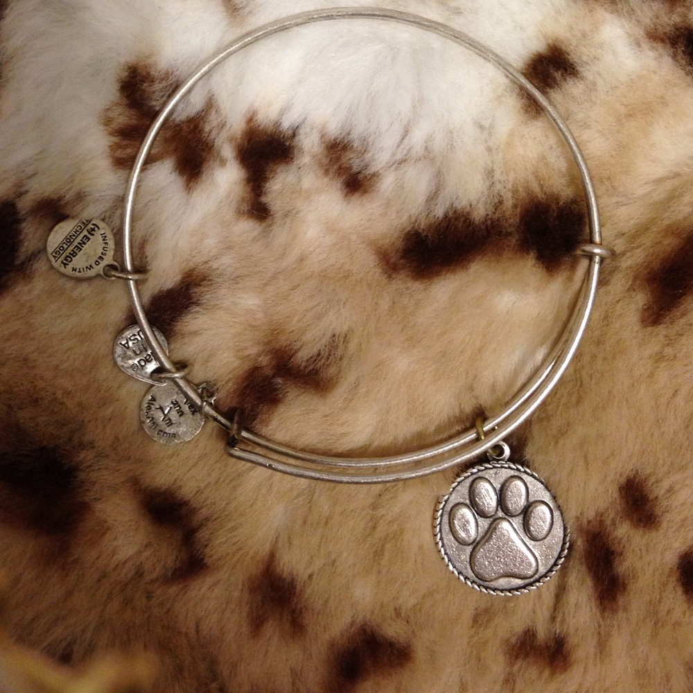 Alex And Ani Paw Bracelet